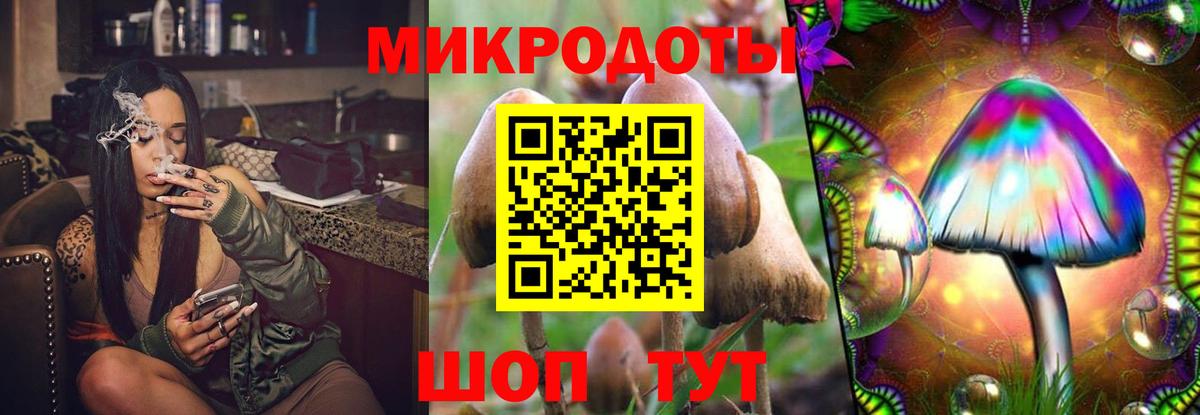 Псилоцибиновые грибы мицелий  Вход с VPN  Красный Сулин  купить наркотики цена  Галлюциногенные грибы MAGIC MUSHROOMS 