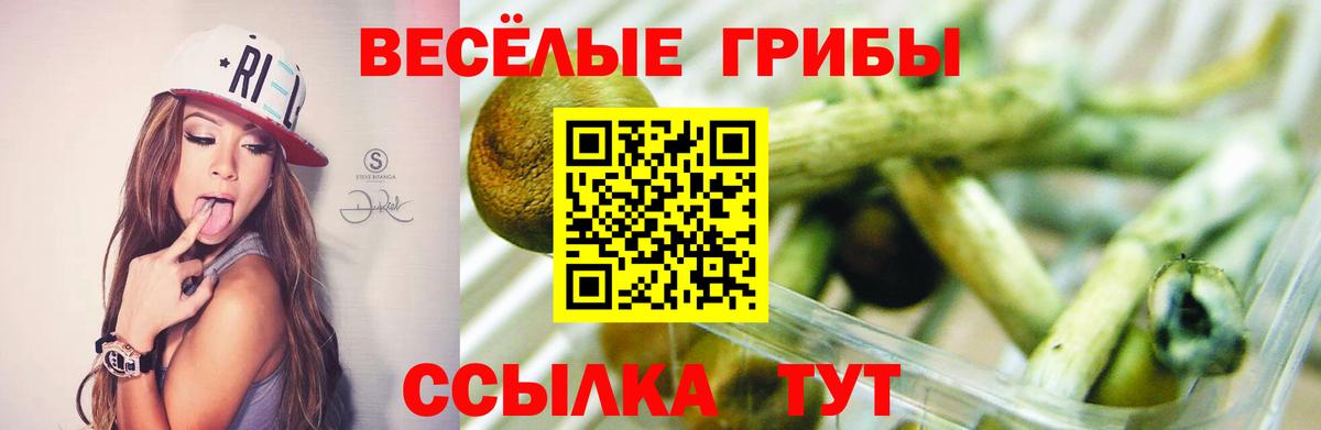 Галлюциногенные грибы ЛСД Красный Сулин